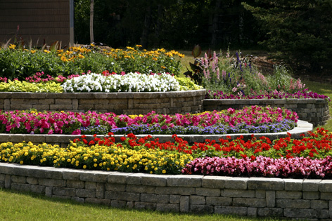 Sunny Cliff - Flower beds near Main Street and Glengarry Drive